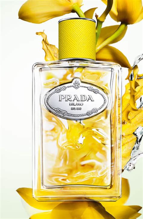 prada milano infusion 10ml|Prada infusion d'ylang.